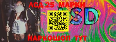 крисы Абакан
