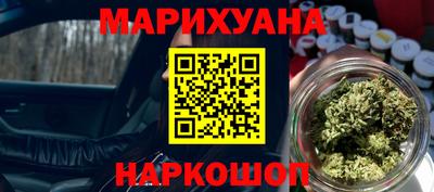 крисы Абакан