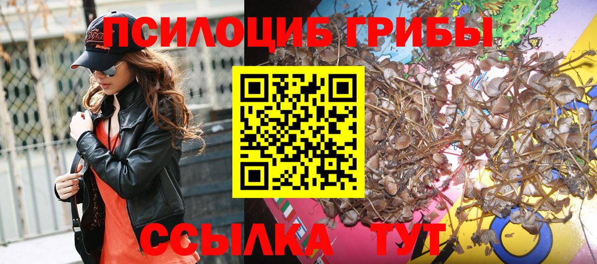Галлюциногенные грибы Cubensis  Галлюциногенные грибы Cubensis  Вход с VPN  Амурск 